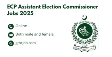 ECP Assistant Election Commissioner Jobs 2025