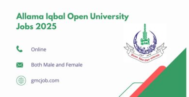 Allama Iqbal Open University Jobs 2025