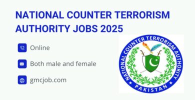 National Counter Terrorism Authority Jobs 2025