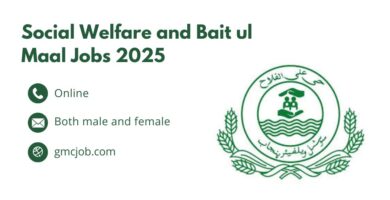 Social Welfare and Bait ul Maal Jobs 2025