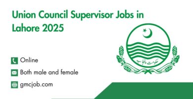 Union Council Supervisor Jobs in Lahore 2025